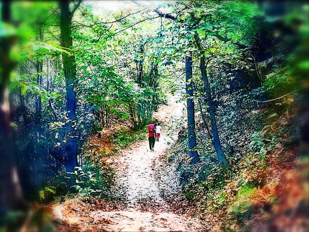 Un kilomètre à&nbsp;pied